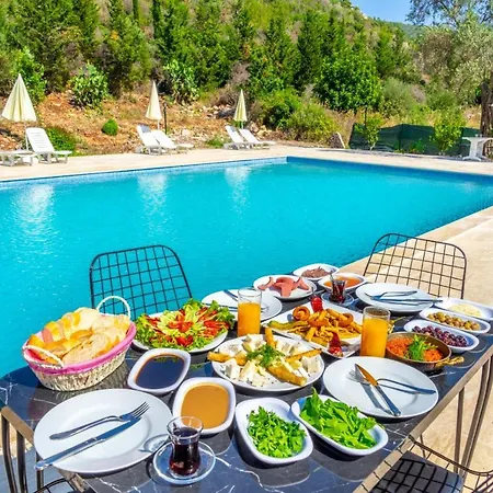 Patara Gate Boutique Gelemiş